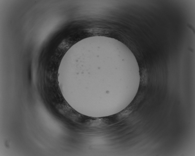 X0000103220430200809251140