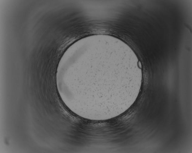 X0000103220433200809251139