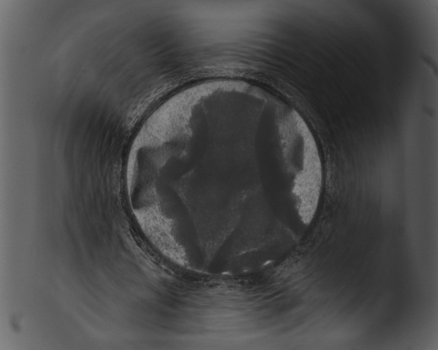 X0000103220434200809251139