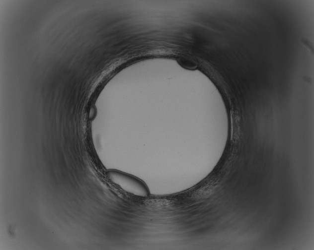 X0000103220435200809251139