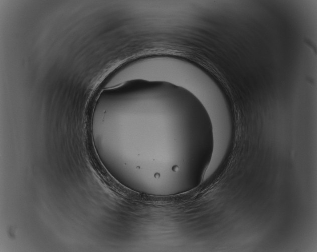 X0000103220436200809251139