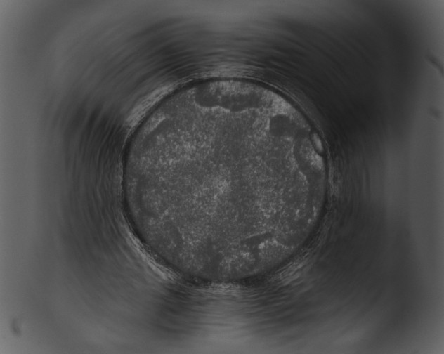 X0000103220437200809251139