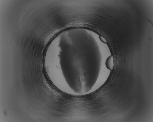 X0000103220438200809251139