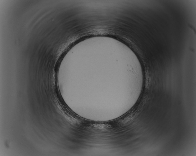 X0000103220439200809251139