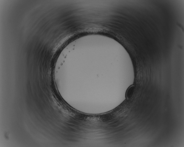 X0000103220440200809251139