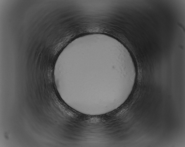 X0000103220441200809251139