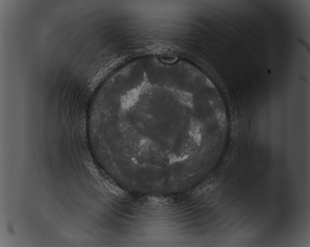 X0000103220442200809251139