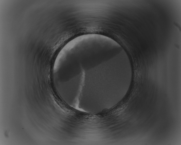 X0000103220443200809251139