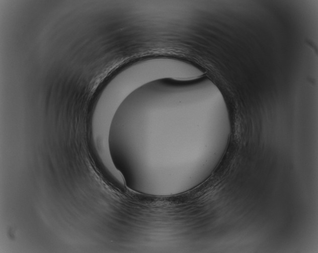 X0000103220444200809251139