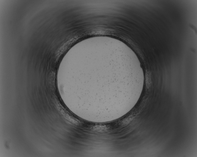 X0000103220445200809251139