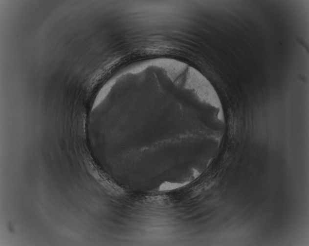 X0000103220446200809251139