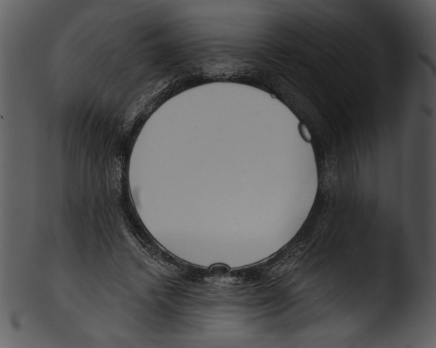 X0000103220448200809251139