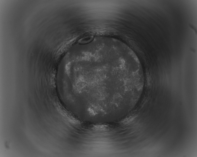 X0000103220450200809251139