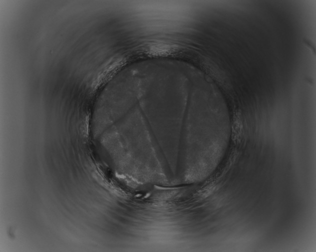 X0000103220454200809251140