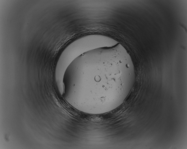 X0000103220456200809251140