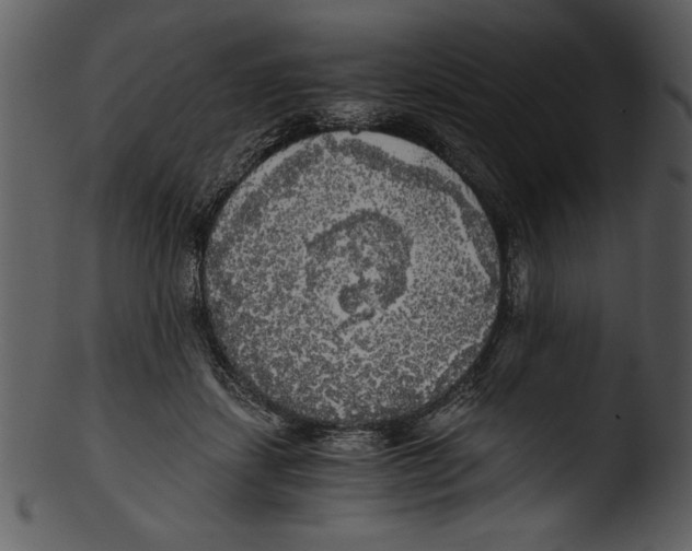 X0000103220459200809251140