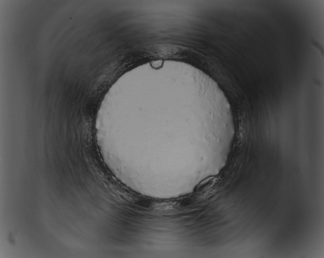 X0000103220461200809251140