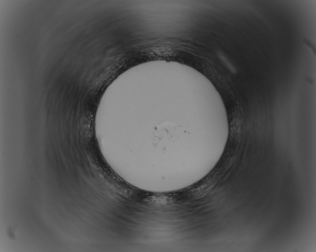 X0000103220464200809251140