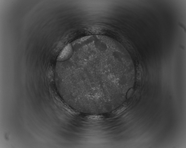 X0000103220465200809251140