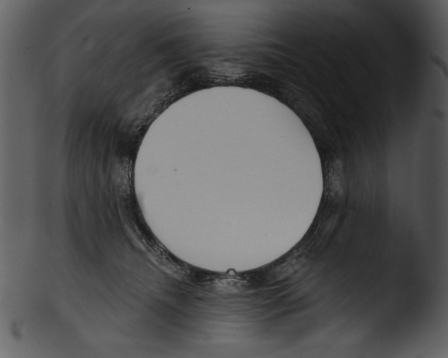 X0000103220468200809251140