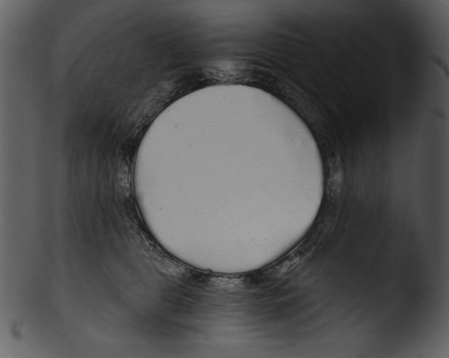 X0000103220469200809251140