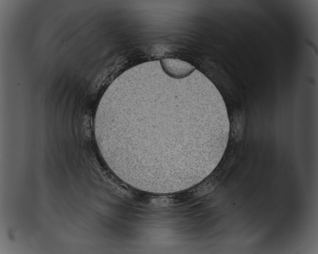 X0000103220470200809251140