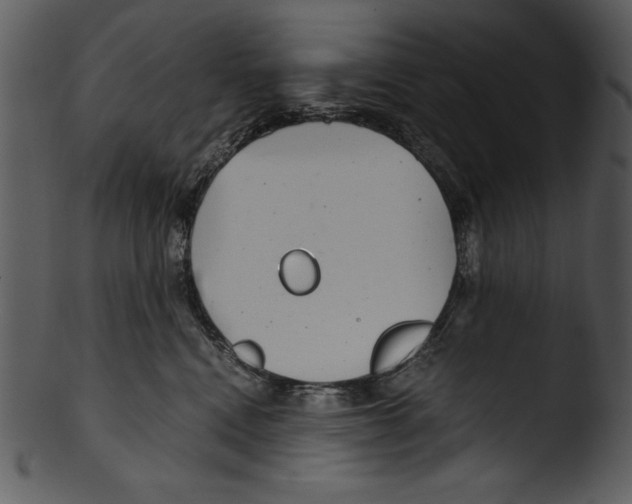 X0000103220472200809251140