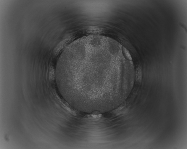 X0000103220474200809251140