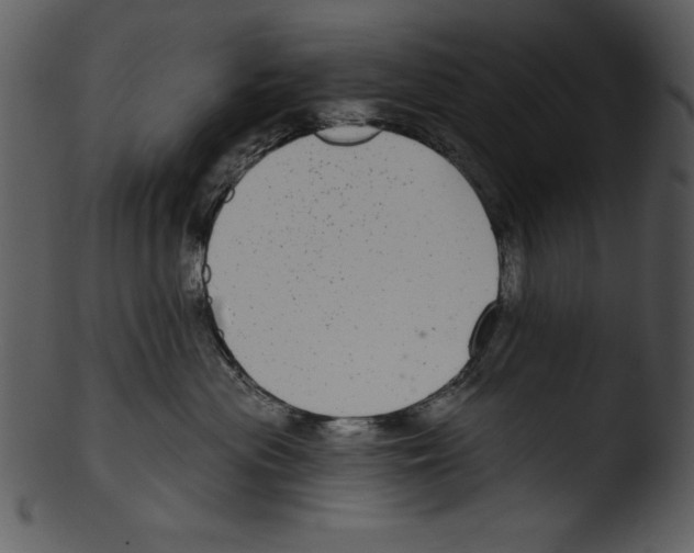 X0000103220477200809251140