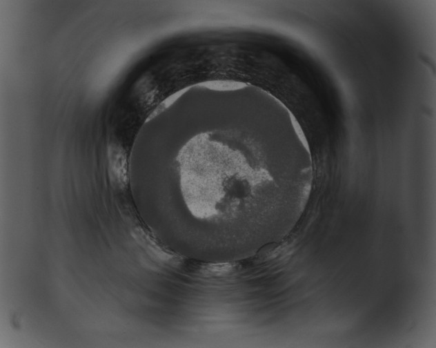 X0000103220479200809251140