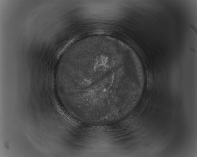 X0000103220482200809251139