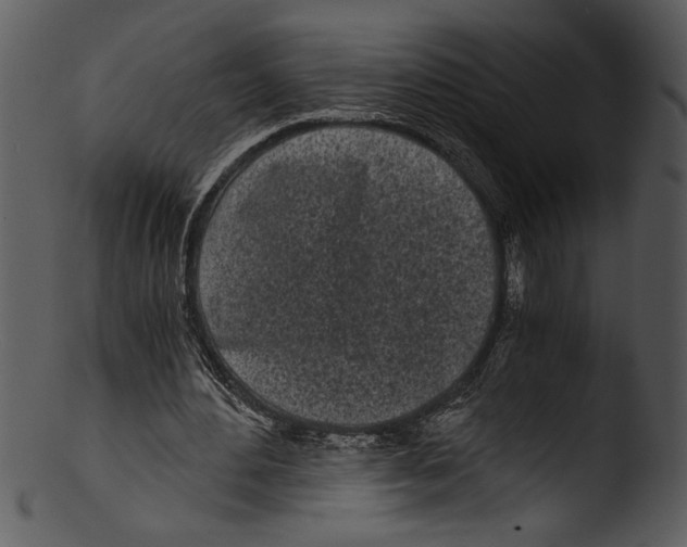 X0000103220484200809251139