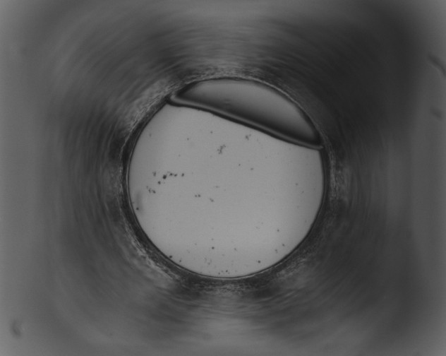 X0000103220485200809251139