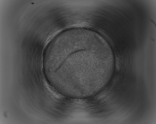 X0000103220486200809251139