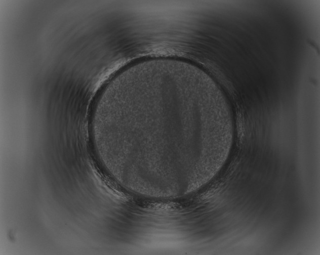 X0000103220488200809251139