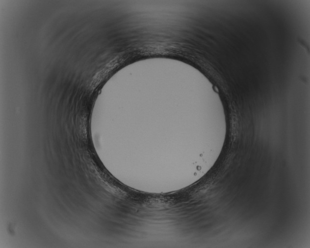 X0000103220489200809251139