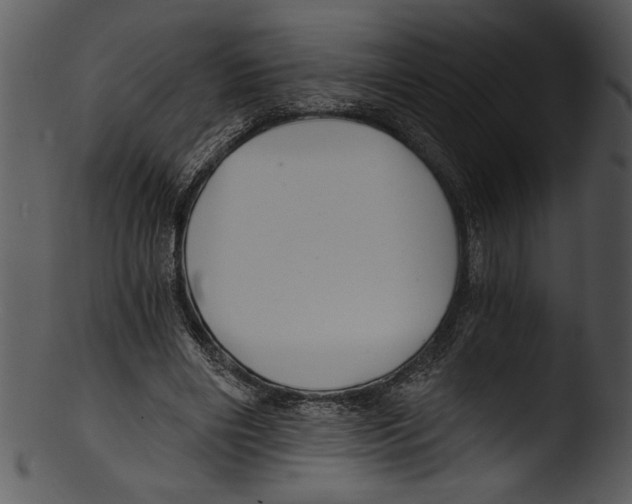 X0000103220490200809251139