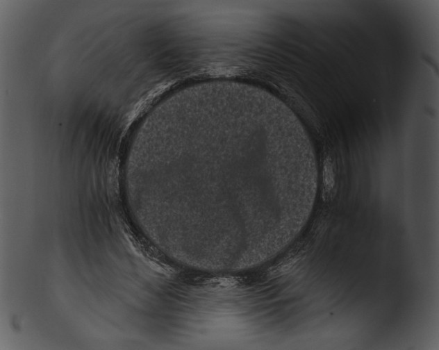 X0000103220492200809251139