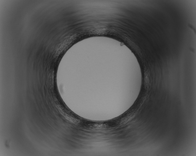 X0000103220493200809251139