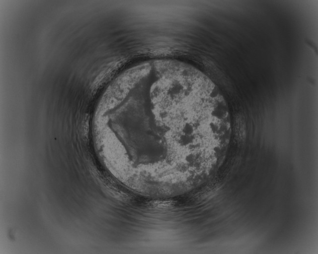 X0000103220495200809251139