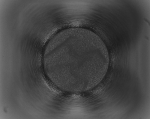 X0000103220496200809251139