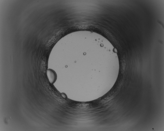 X0000103220497200809251139