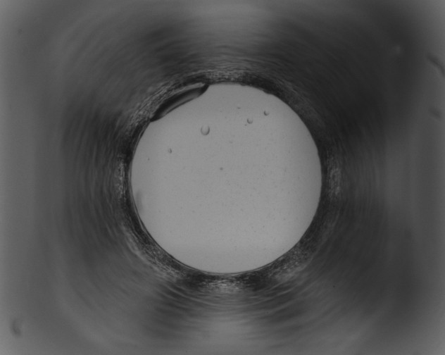 X0000103220498200809251139