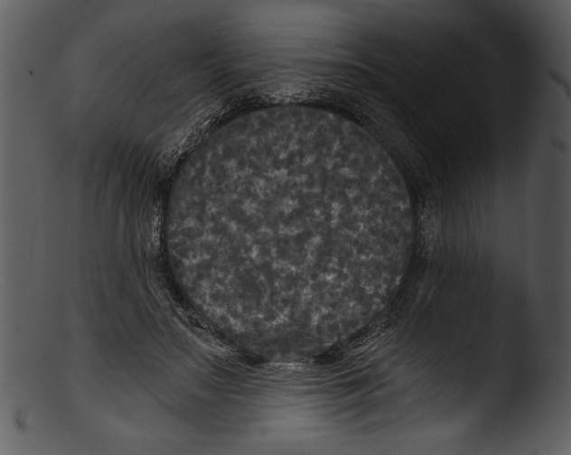 X0000103220499200809251139