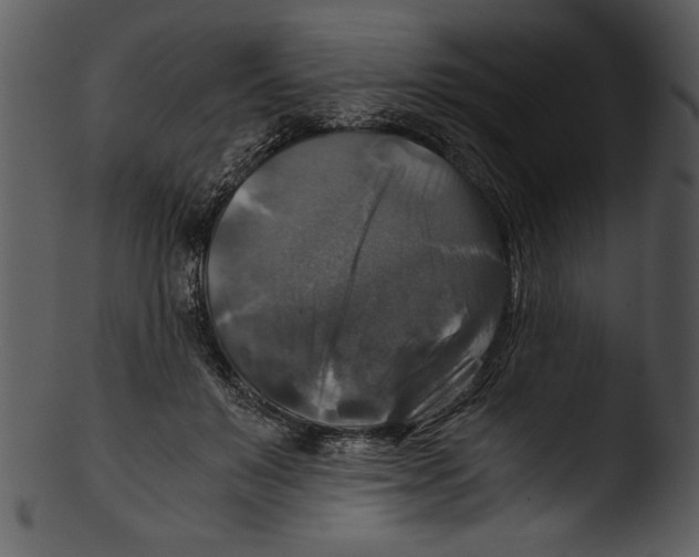 X0000103220503200809251139