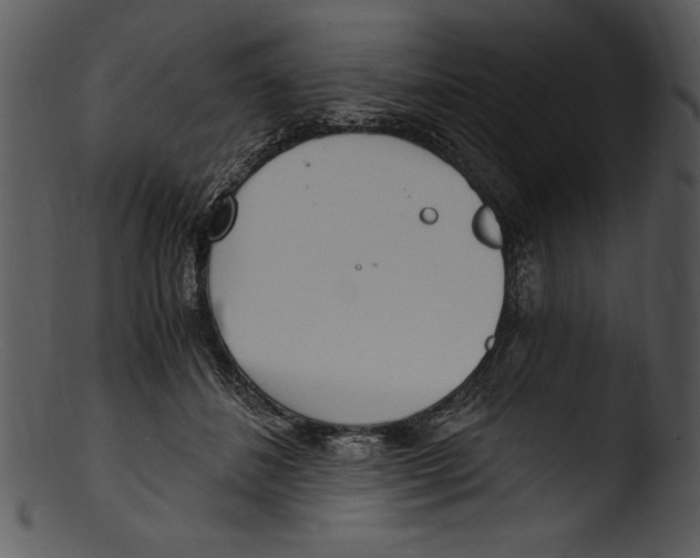 X0000103220508200809251139