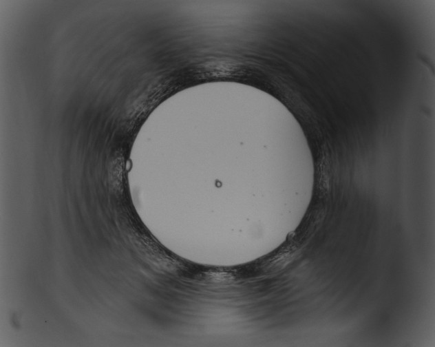 X0000103220509200809251139