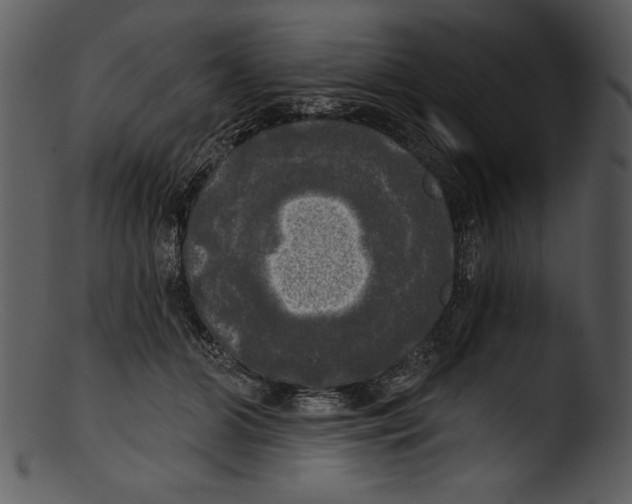 X0000103220510200809251139