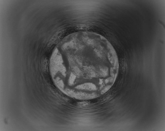 X0000103220511200809251139