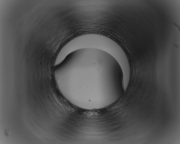 X0000103220512200809251139